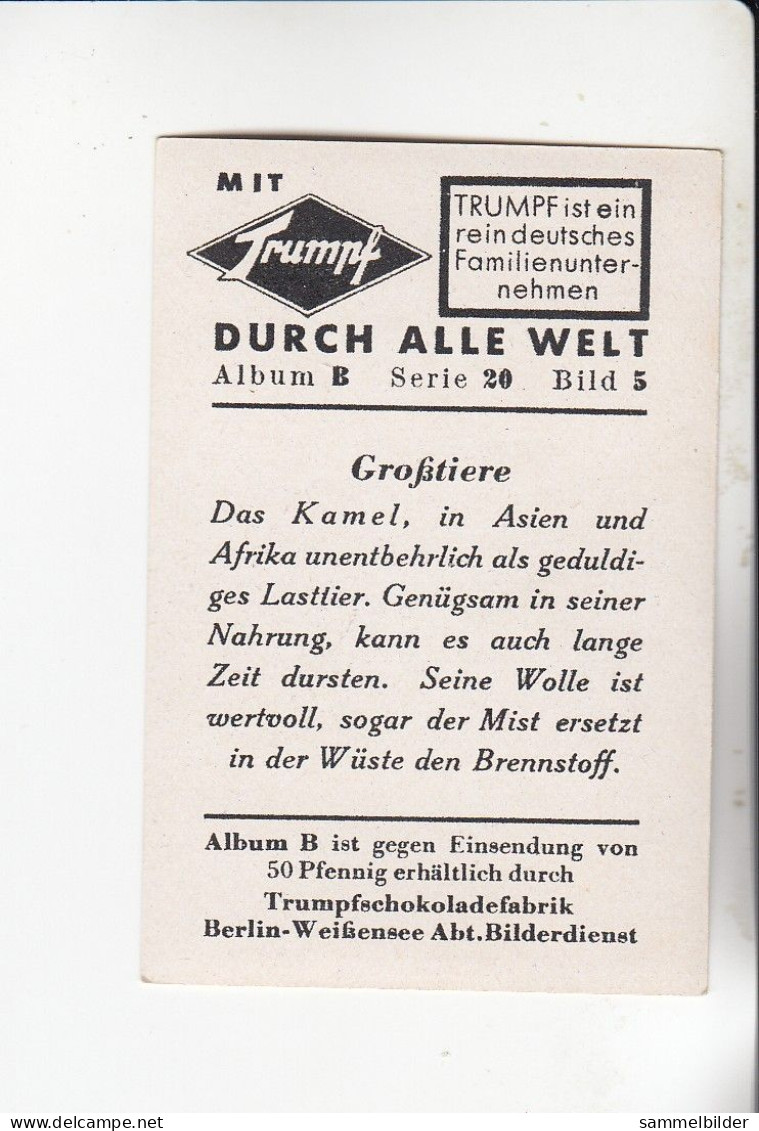 Mit Trumpf Durch Alle Welt  Großtiere Das Kamel    B Serie 20 # 5 Von 1933 - Otras Marcas