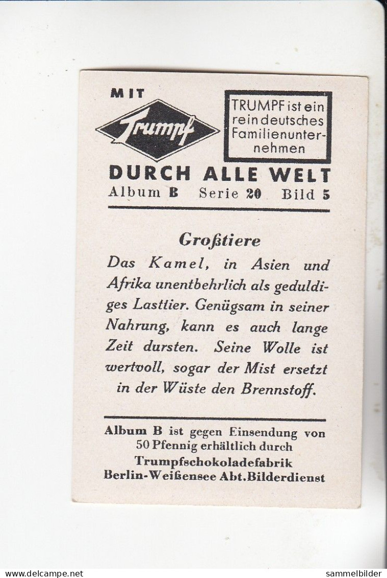 Mit Trumpf Durch Alle Welt  Großtiere Das Kamel    B Serie 20 # 5 Von 1933 - Zigarettenmarken