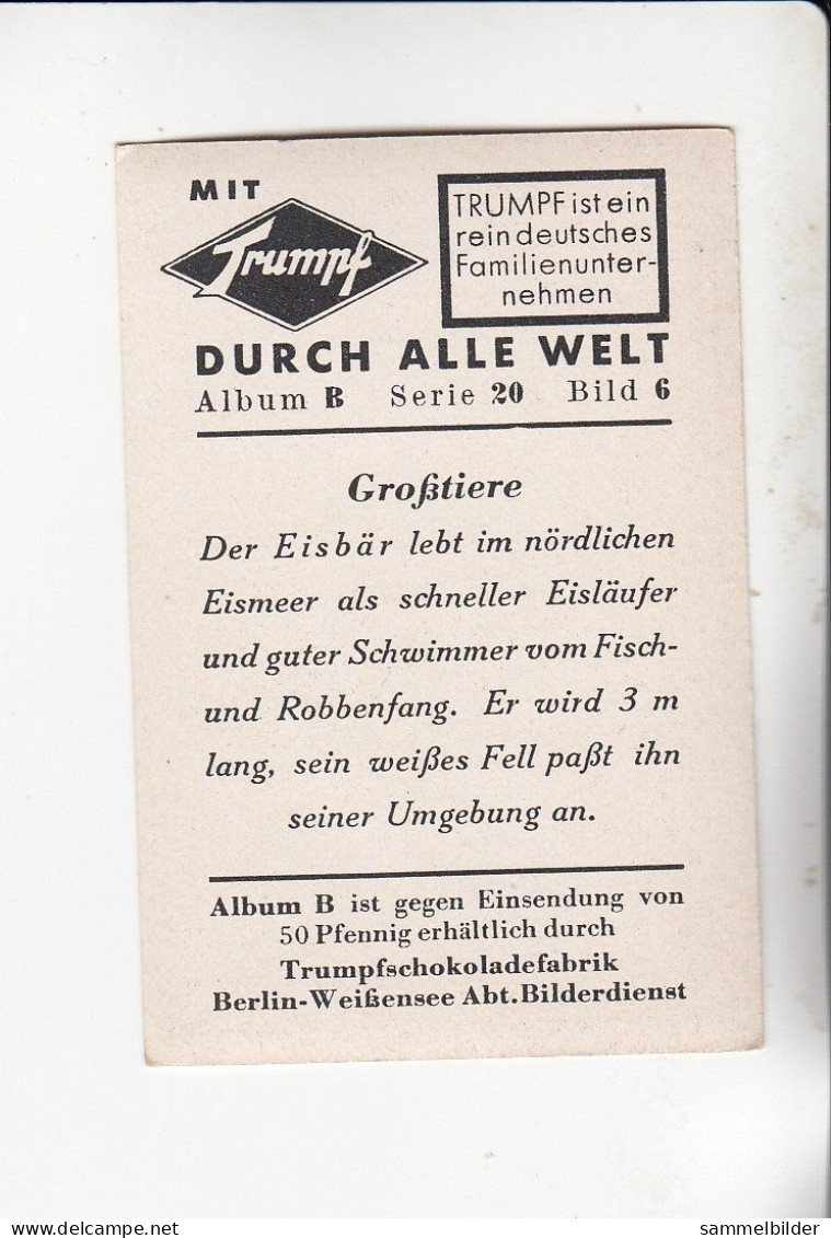 Mit Trumpf Durch Alle Welt  Großtiere Der Eisbär    B Serie 20 # 6 Von 1933 - Otras Marcas