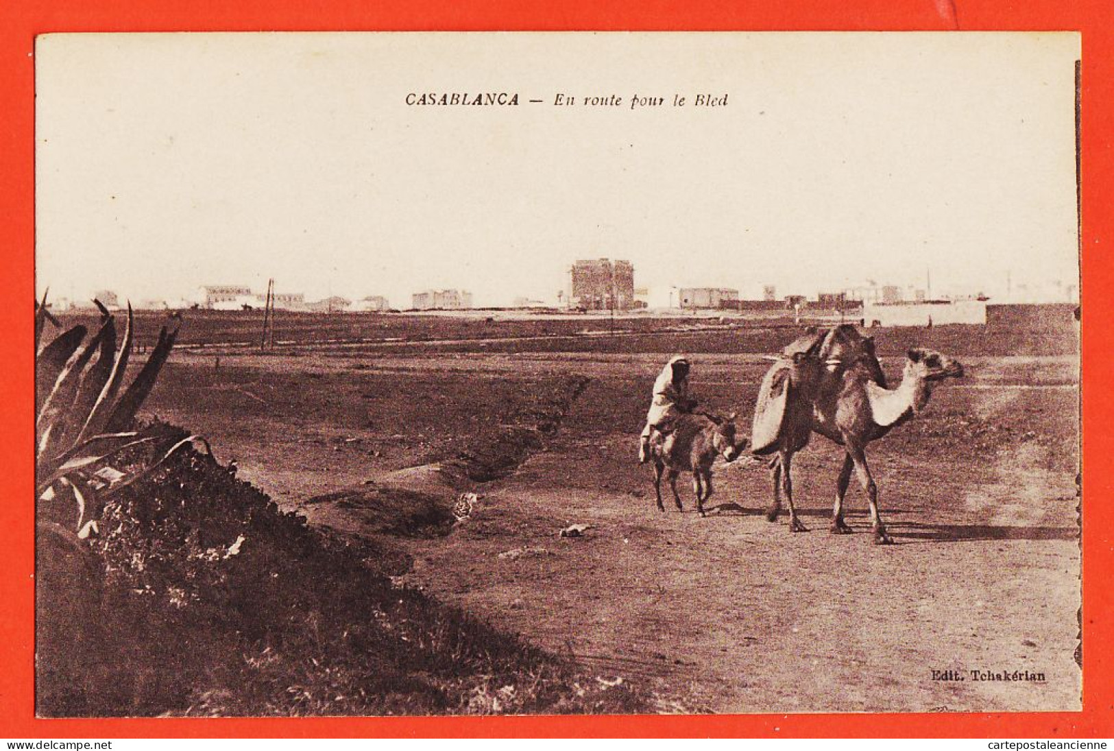 07897 / ⭐ CASABLANCA Maroc En Route Pour Le Bled Chameau 1910s Edition TCHAKERIAN - Casablanca