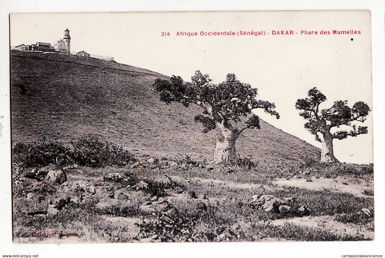 07761 / ⭐ Senegal DAKAR Baobab PHARE Des MAMELLES 28.01.1916 à SALLE Negociant Vins Rue Michelet St Etienne - Senegal