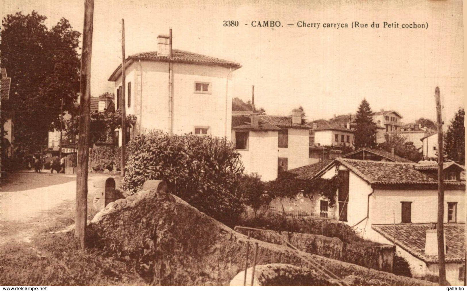 CAMBO CHERRY CARRYCA RUE DU PETIT COCHON - Cambo-les-Bains