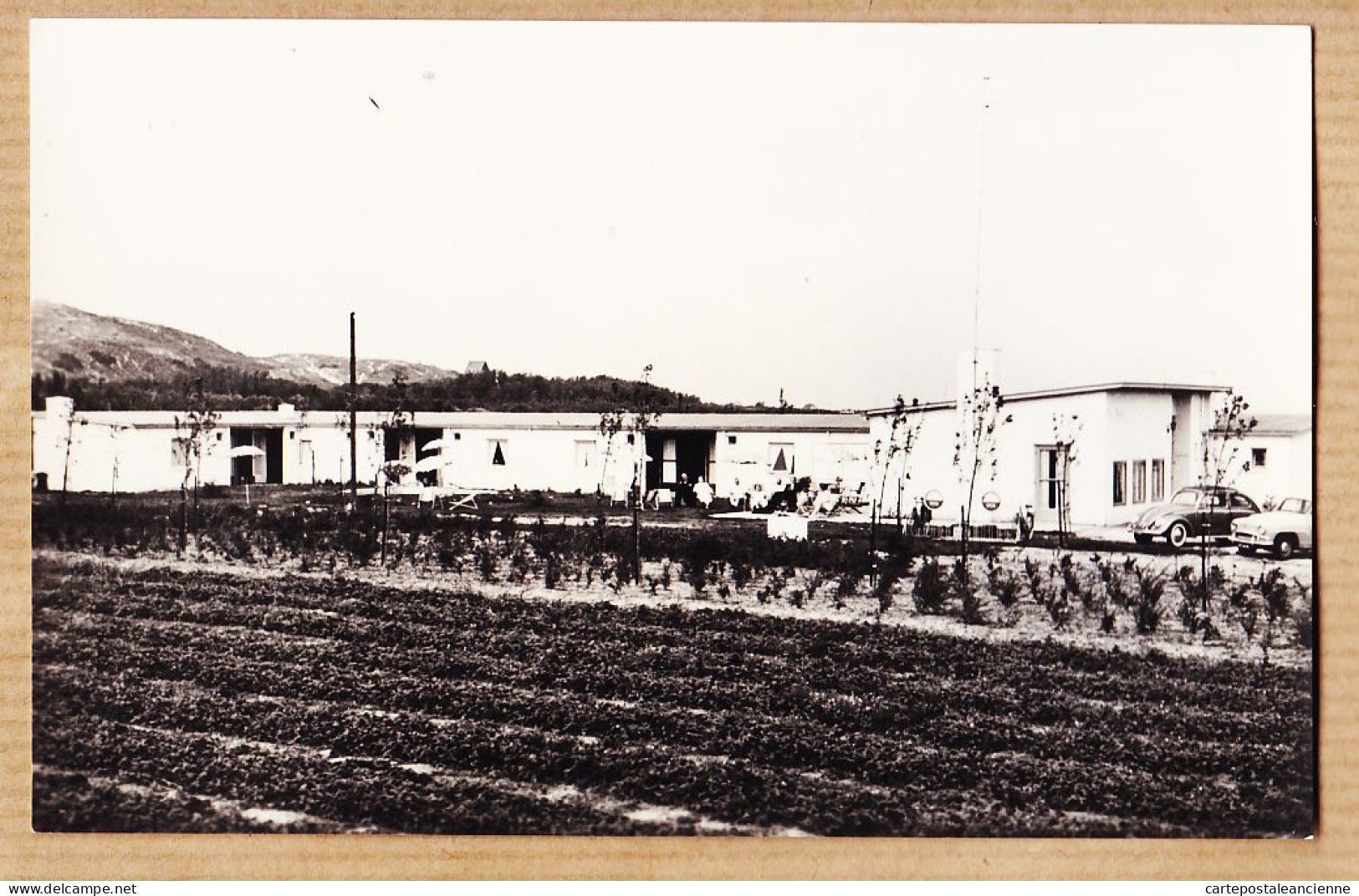 07581 ● Rare GROOT VALKENISSE BIGGEKERKE Zeeland HUIZE MARTINA Café Verhuur Gem Apartementen 1960s Carte-Photo - Veere