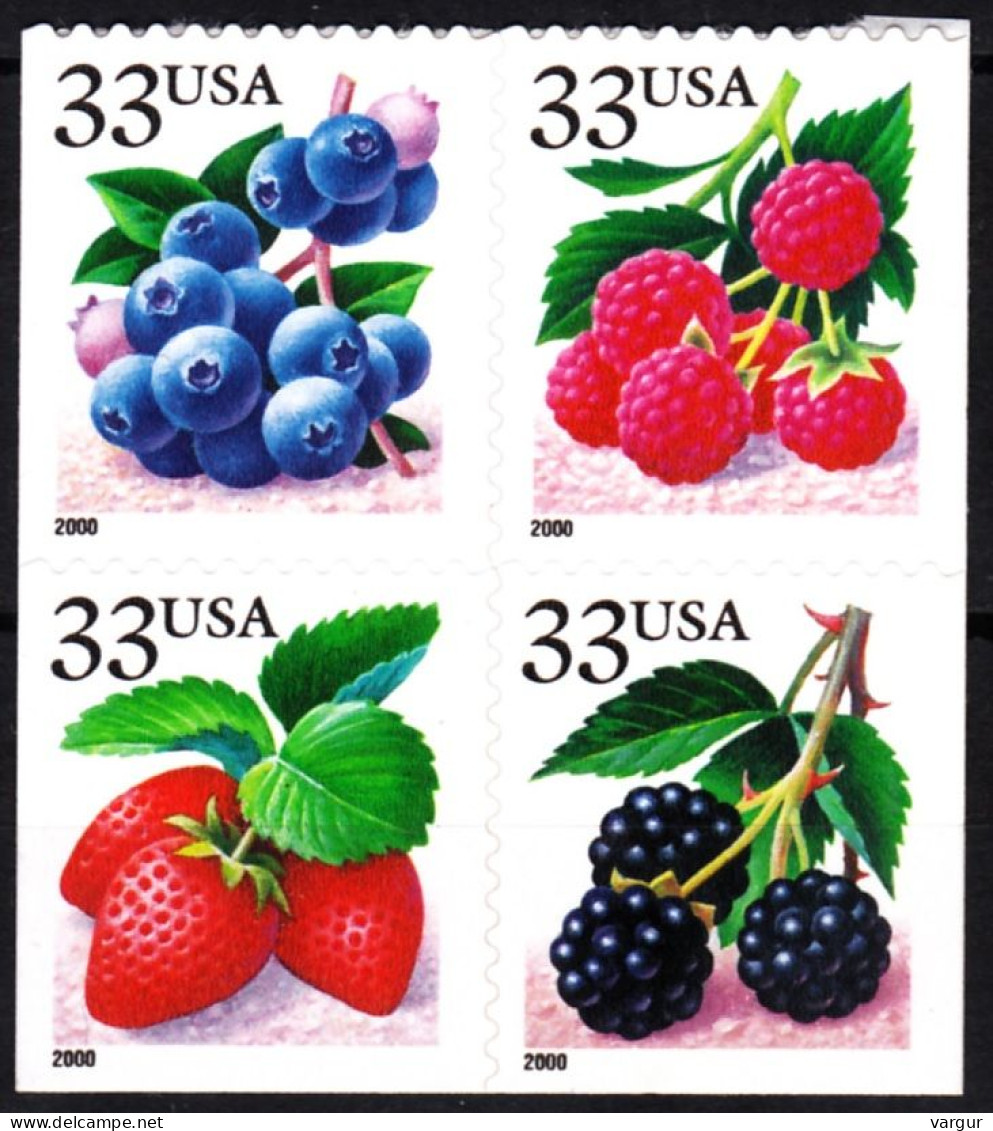 USA 2000 FLORA Plants: Berries. BLOCK, Mint Adhesive - Frutas