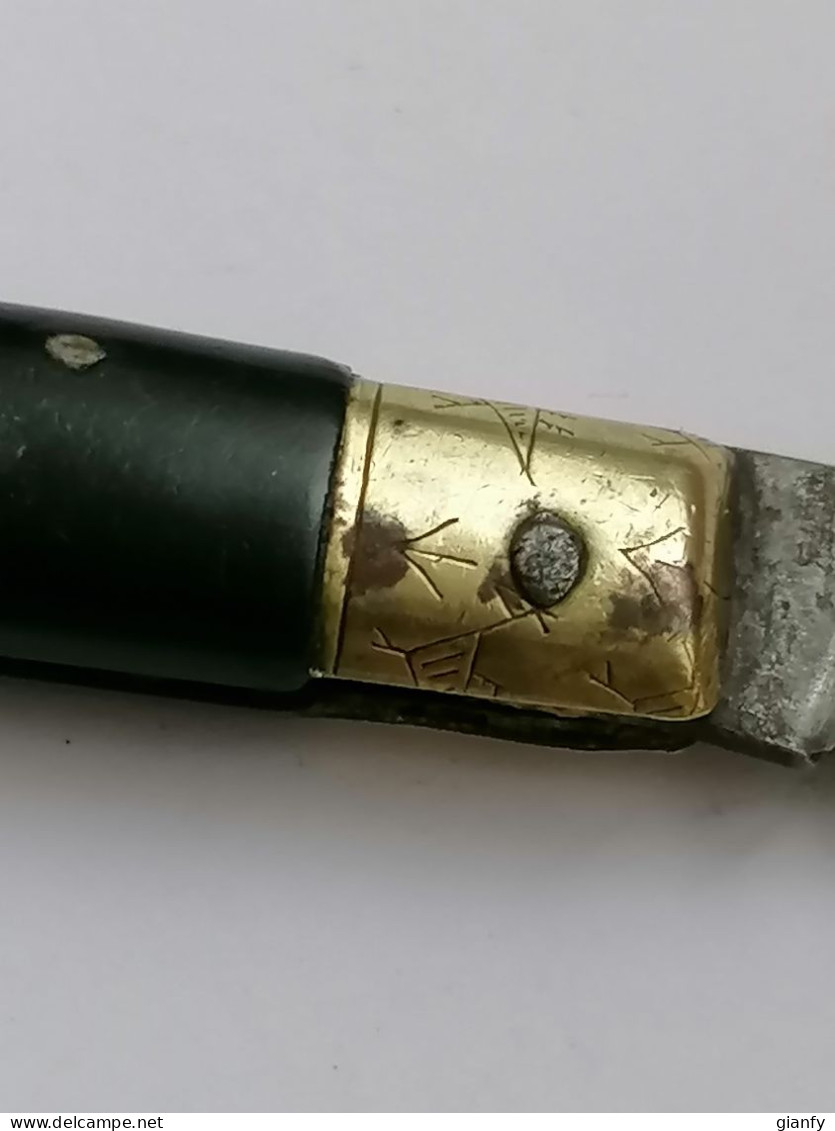 COLTELLO ARTIGIANALE "PATTADESE" MANICO CORNO CON PAVONCELLA - Armas Blancas