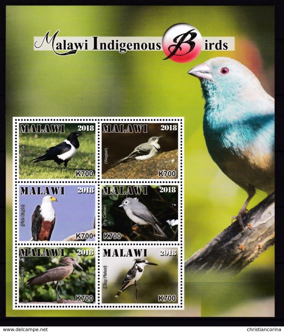 MALAWI 2018 INDIGENOUS BIRDS OFFICIAL ISSUE - Otros & Sin Clasificación