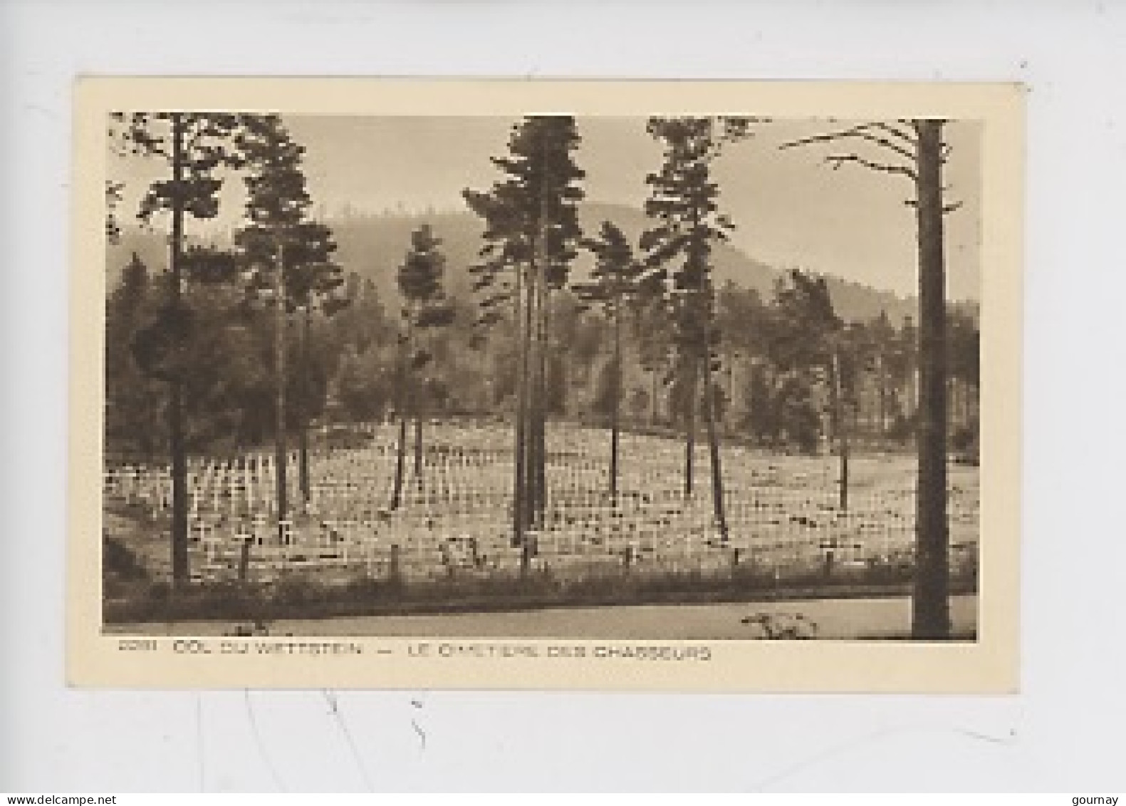 Orbey "Col Du Wettstein" Cimetière Des Chasseurs (Nécropole Nationale Française 1ère Guerre Mondiale 1914-1918) - Orbey