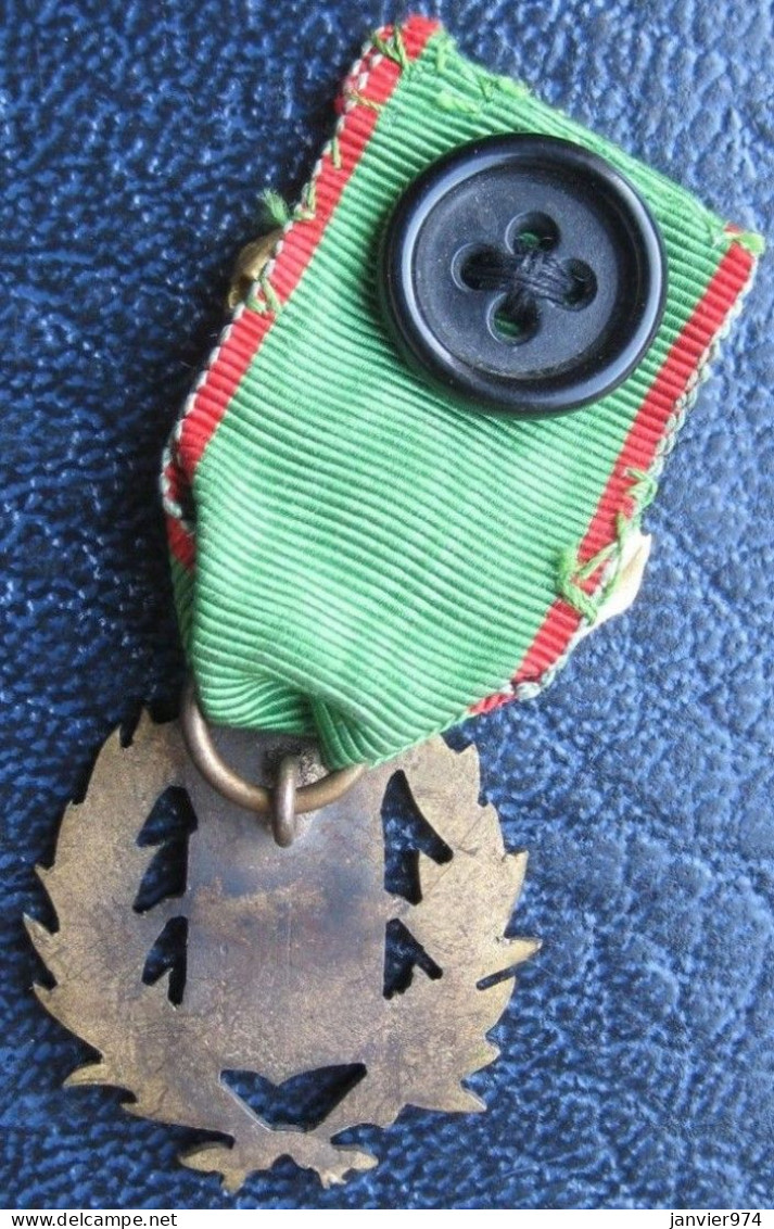 Insigne – Médaille Société De Tir Avec Ruban - Other & Unclassified
