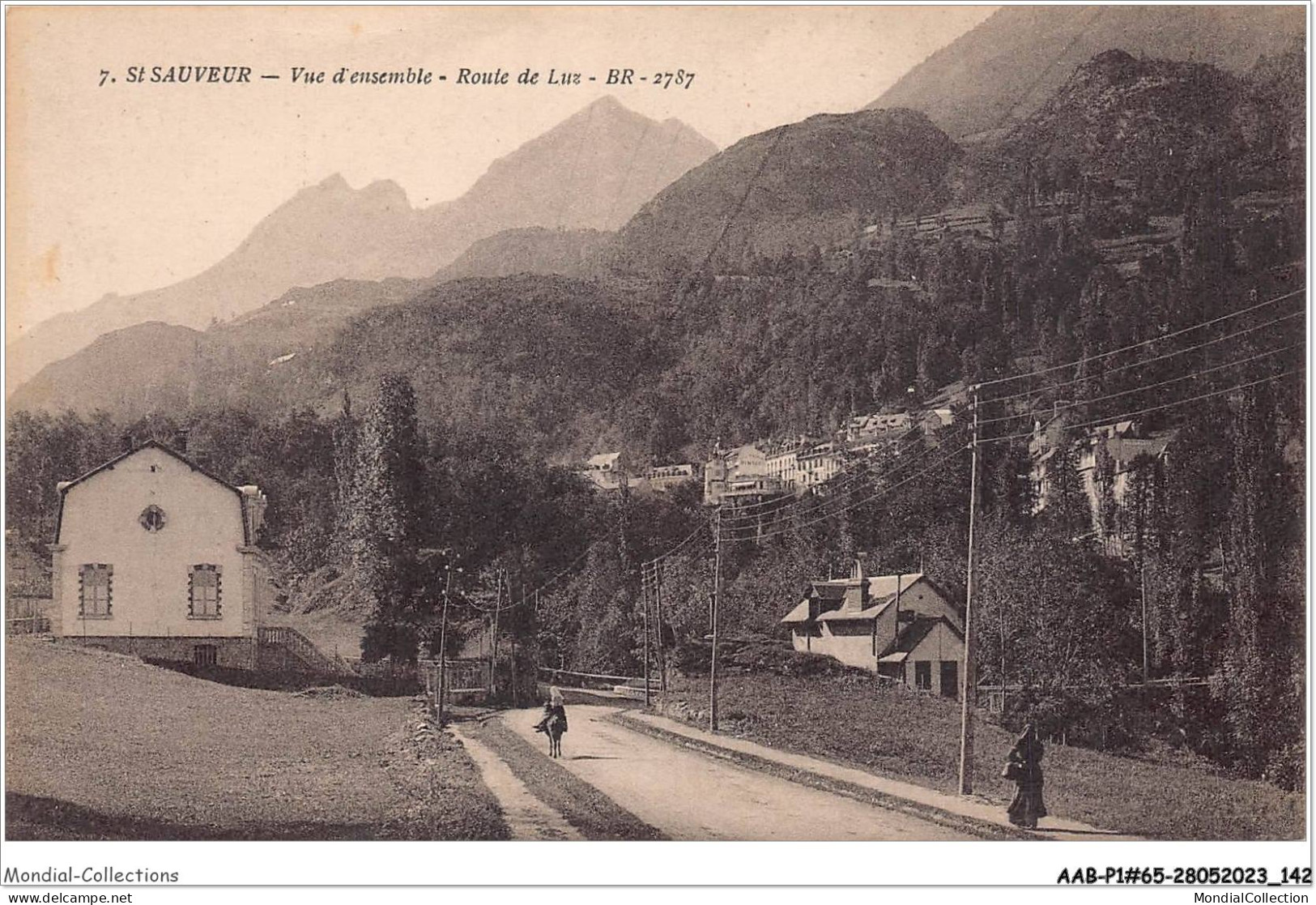 AABP1-65-0048 - SAINT-SAUVEUR - Vue D'Ensemble - Route De Luz - Luz Saint Sauveur