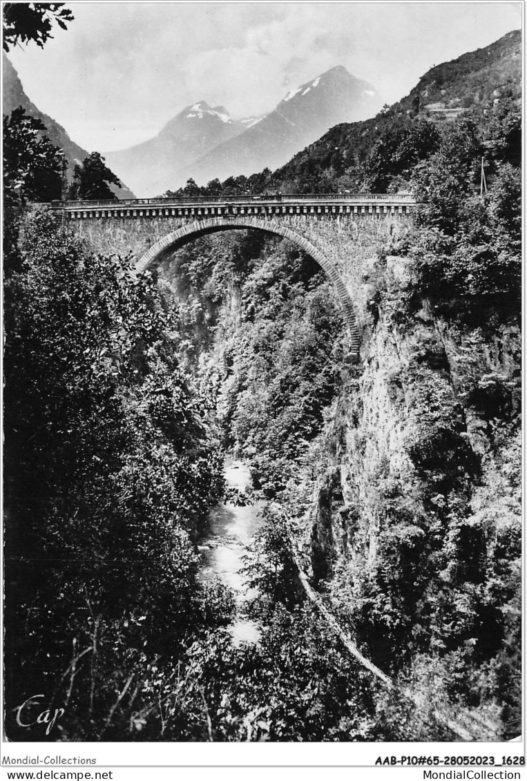 AABP10-65-0795 - SAINT-SAUVEUR - Le Pont Napoleon - Luz Saint Sauveur