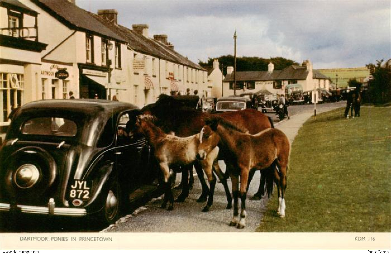 73947470 Princetown__UK Dartmoor Ponies - Andere & Zonder Classificatie