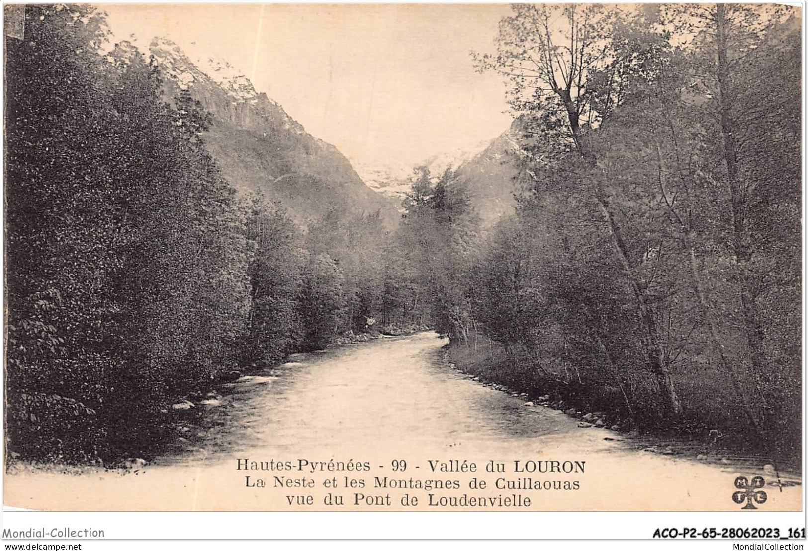 ACOP2-65-0169 - VALLEE DU LOURON - La Neste Et Les Montagnes De Caillaouas - Vue Du Pont De Loudenvielle - Borderes Louron