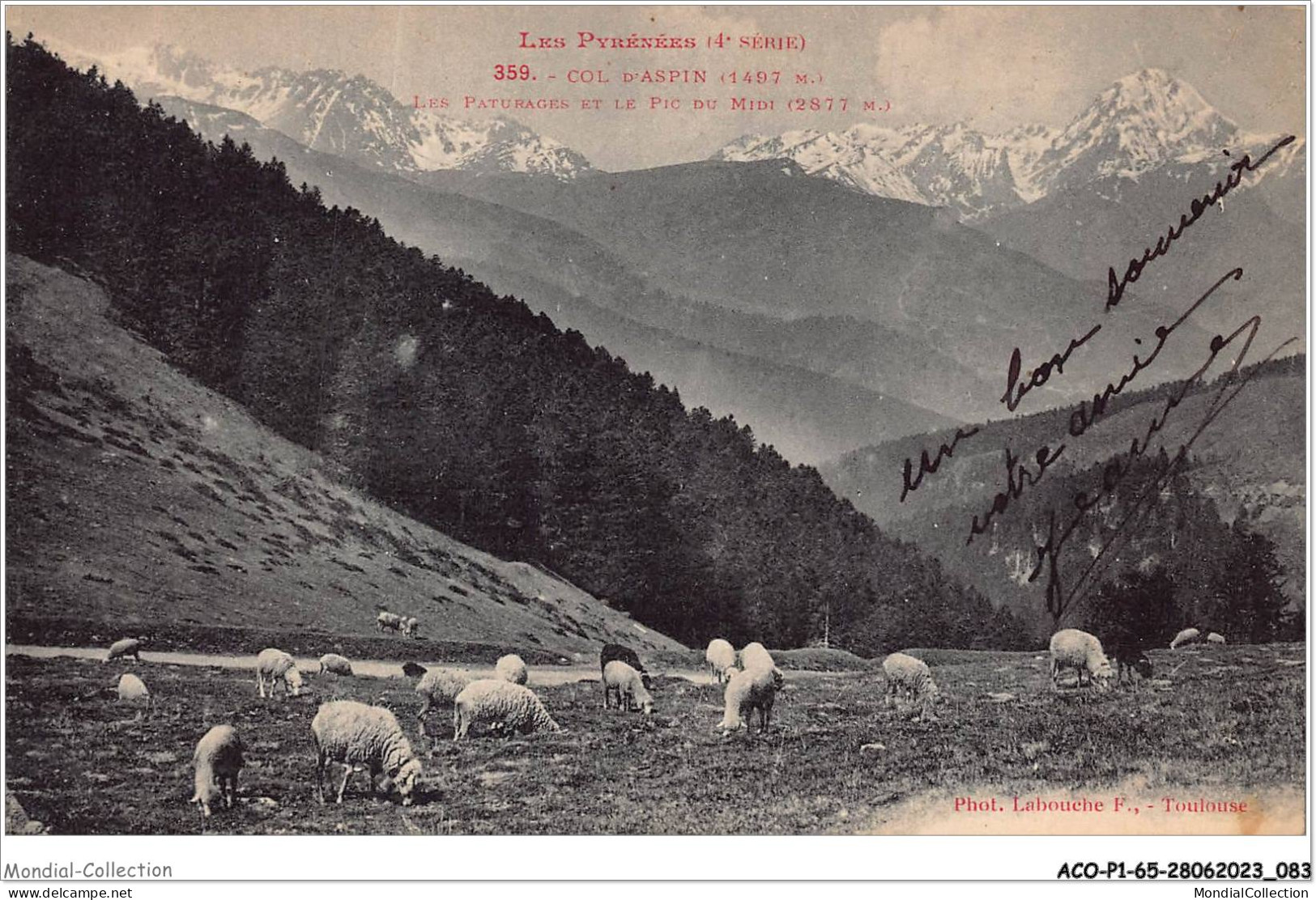 ACOP1-65-0043 - LES PYRENEES - Col D'aspin - Les Patûrages Et Le Pic Du Midi - Vielle Aure