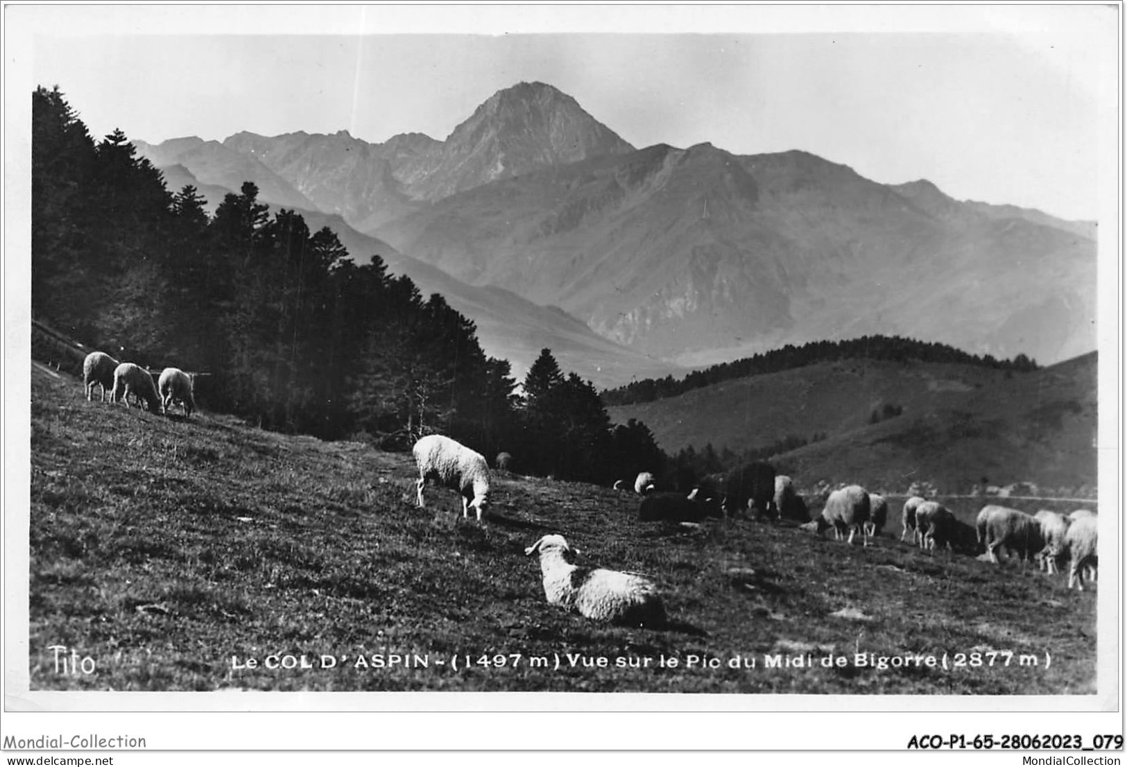 ACOP1-65-0041 - LES PYRENEES - Col D'aspin - Vue Sur Le Pic Du Midi De Bogorre - Vielle Aure