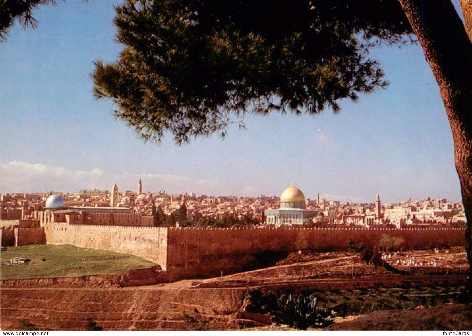 73945719 Jerusalem__Yerushalayim_Israel Temple Area Eastern Wall Seen From Mt Of - Israël