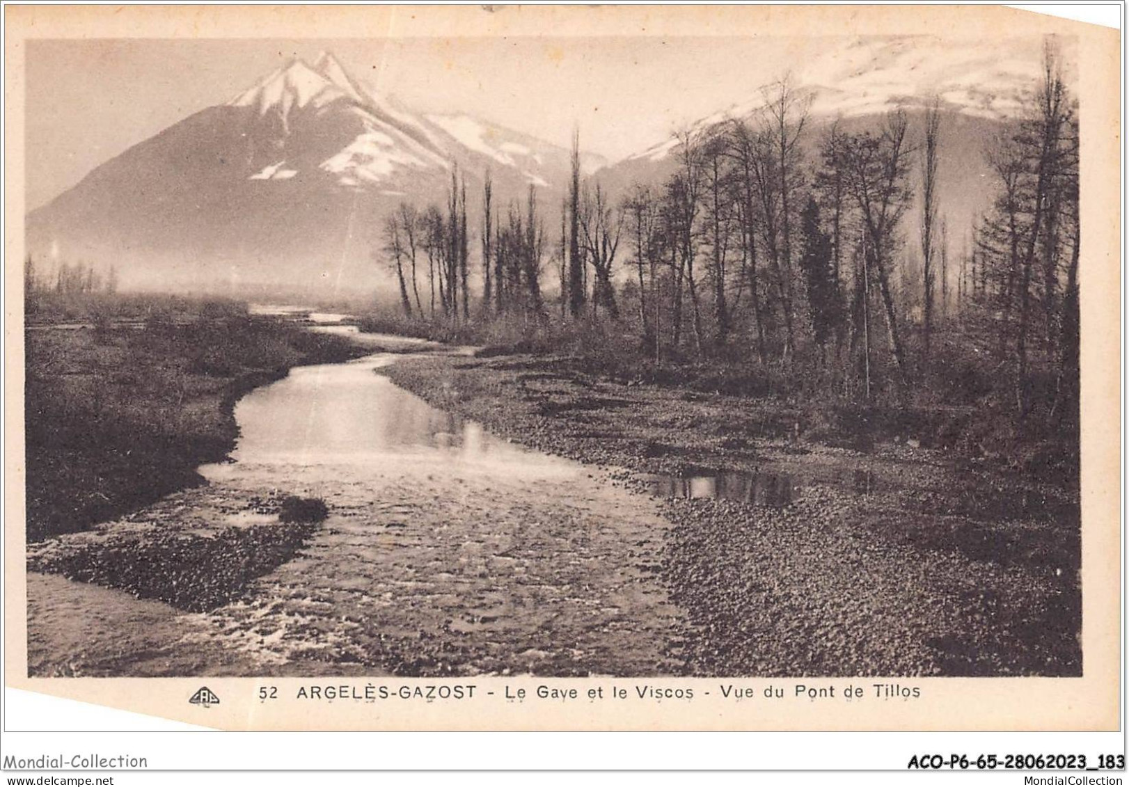 ACOP6-65-0602 - ARGELES-GAZOST - Le Gave Et Le Viscos - Vue Du Pont De Tillos - Argeles Gazost