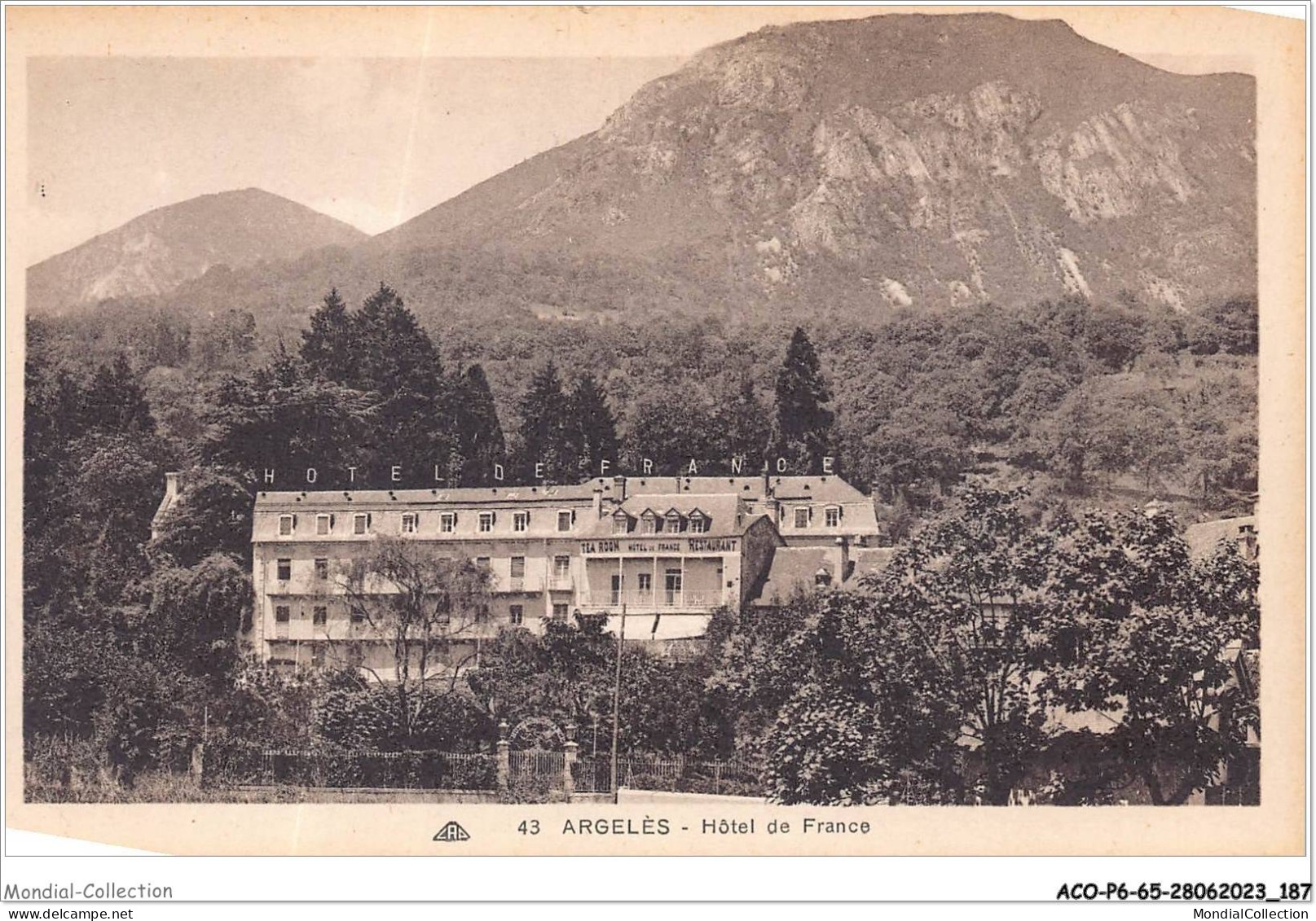 ACOP6-65-0604 - ARGELES-GAZOST - Hôtel De France - Argeles Gazost