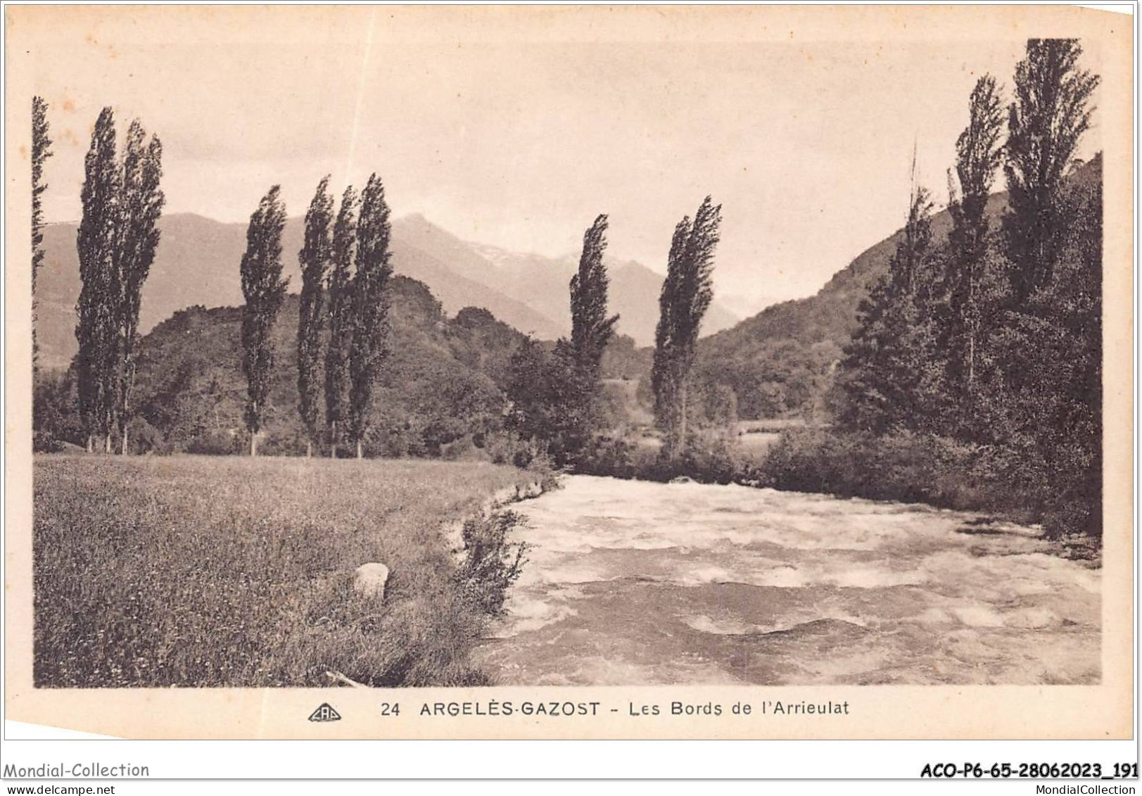 ACOP6-65-0606 - ARGELES-GAZOST - Les Bords De L'arrieulat - Argeles Gazost