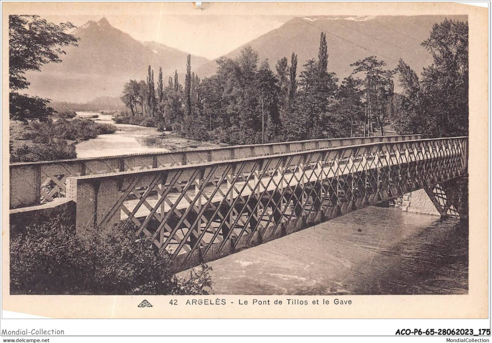 ACOP6-65-0598 - ARGELES-GAZOST - Le Pont De Tillos Et Le Gave - Argeles Gazost