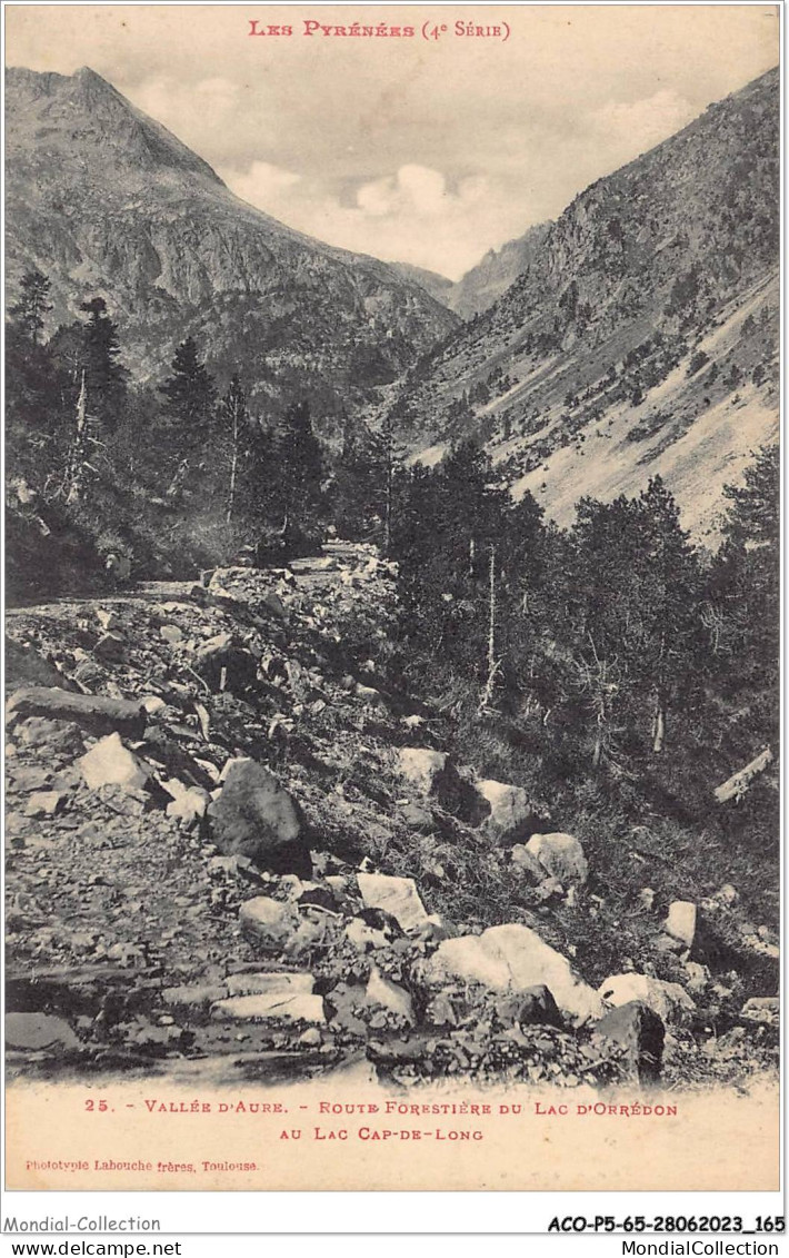 ACOP5-65-0490 - VALLEE D'AURE - Route Forestière Du Lac D'orédon Au Cap De Long - Vielle Aure