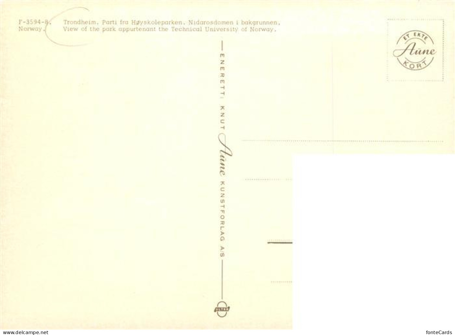 73945190 Trondheim_Trondhjem_Norge Parti Fra Hoytkoleparken Nidarosdomen I Bakgr - Norvegia