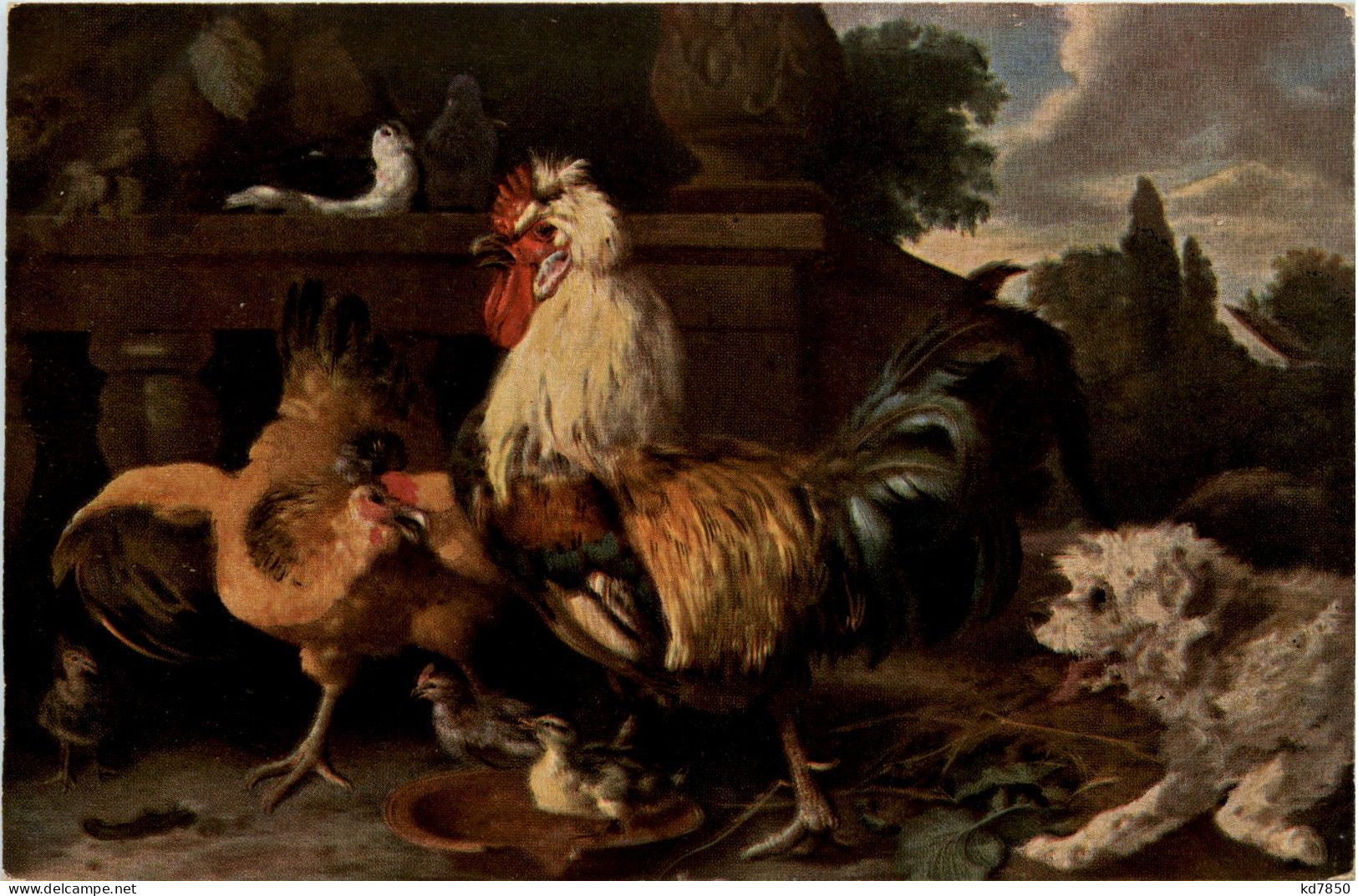 Hühner - Pájaros