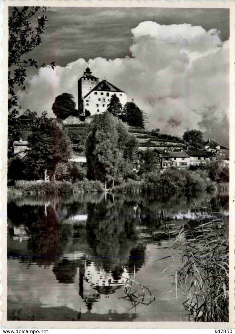 Schloss Werdenberg Bei Buchs - Buchs