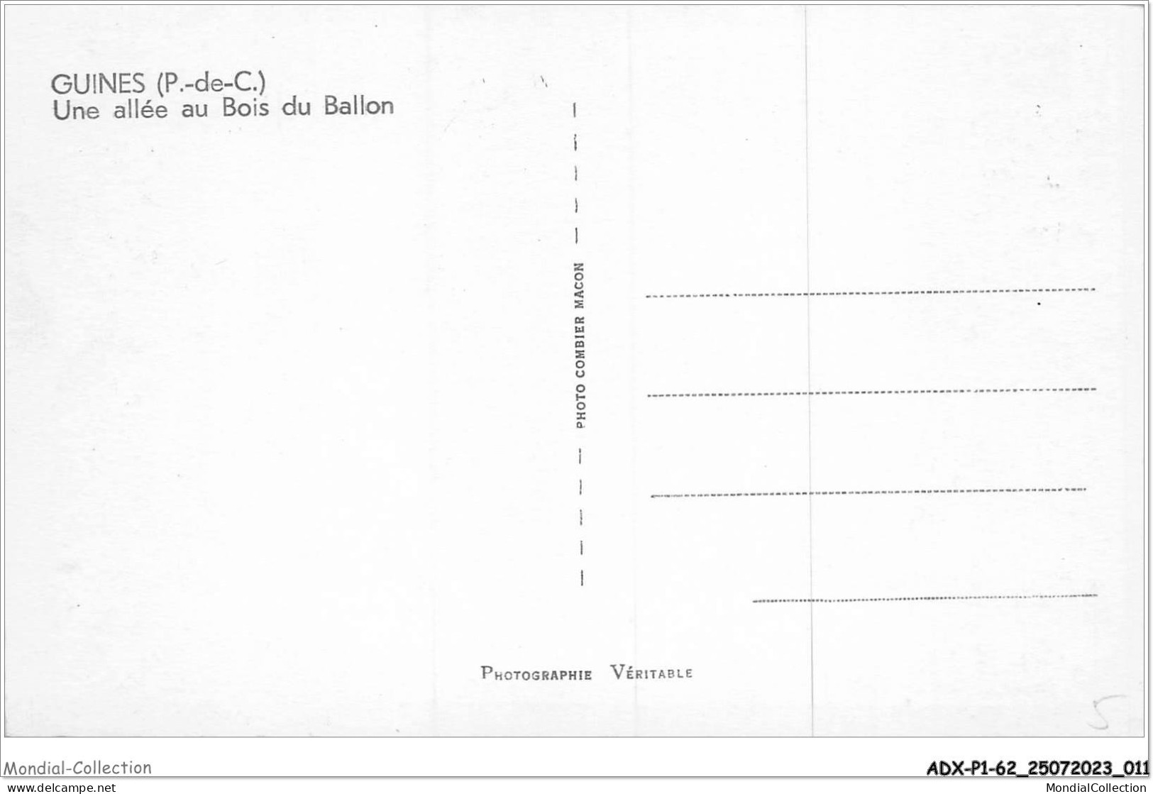 ADXP1-62-0006 - GUINES - Une Allée Au Bois Du Ballon - Guines