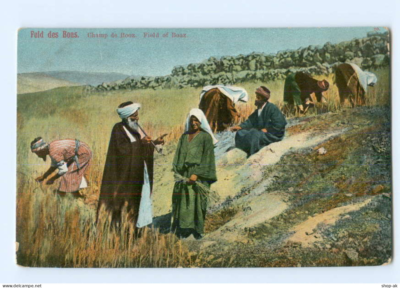 T5319/ Feld Des Boas  Palästina AK Ca.1905 - Palestina