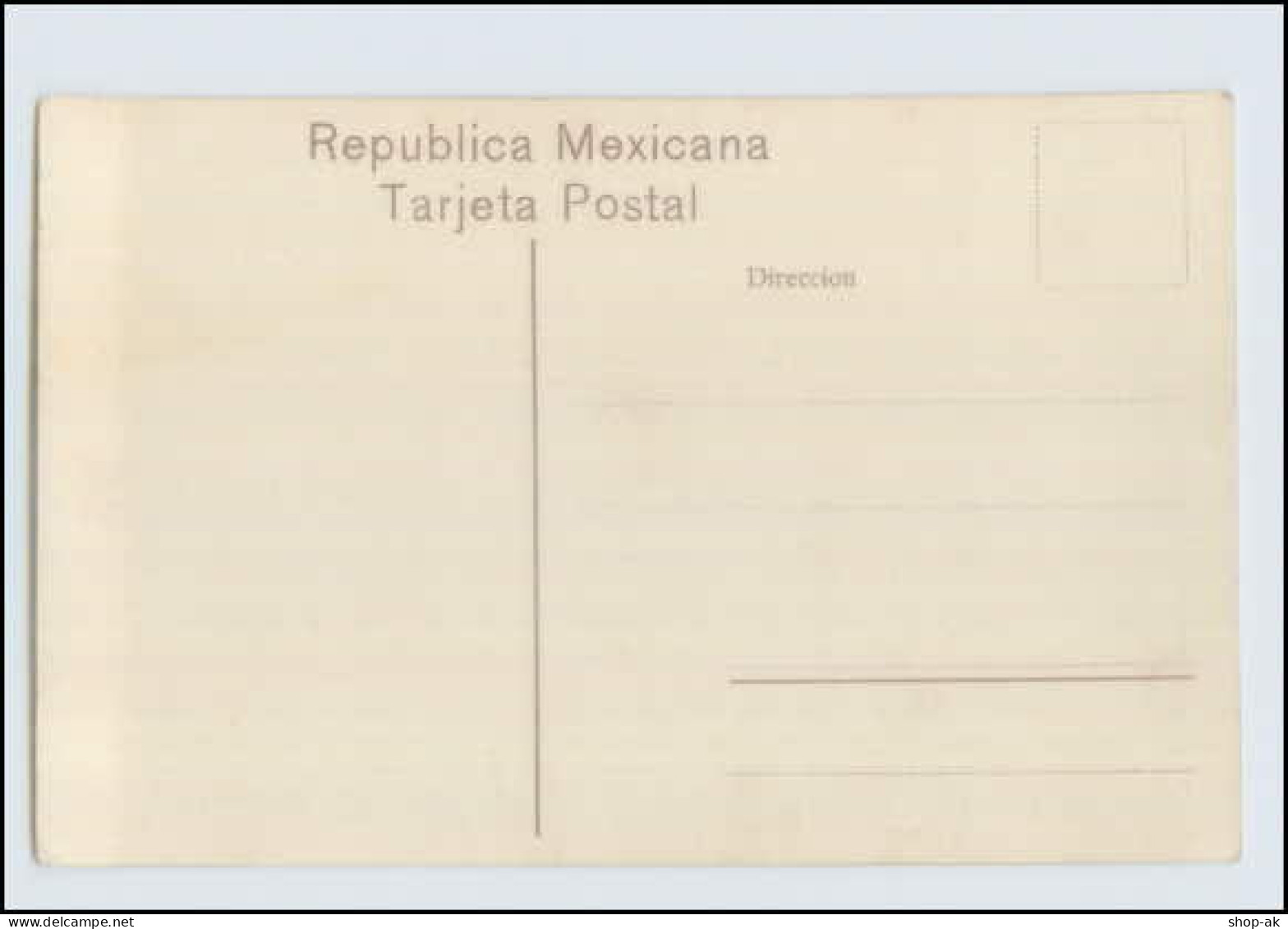 N9503/ Tipos Mecocanos   Vendedora De Tortiilas Mexico AK Ca.1910 - Other & Unclassified