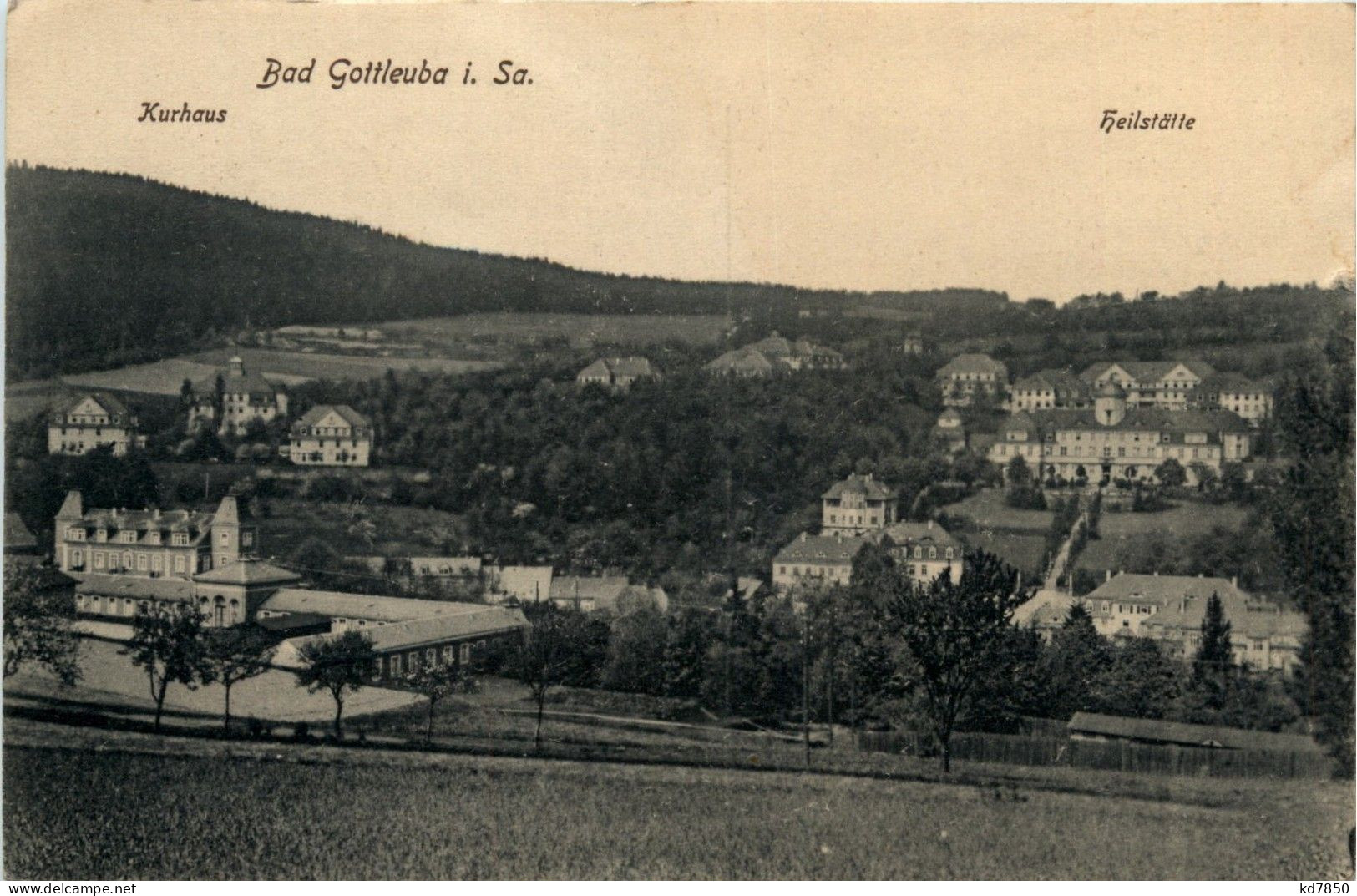 Bad Gottleuba - Berg Hotel - Bad Gottleuba-Berggiesshuebel