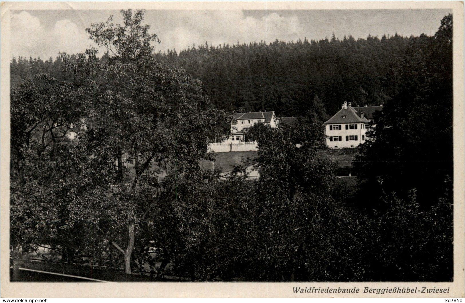 Bad Berggiesshübel - Zwiesel - Waldfriedenbaude - Bad Gottleuba-Berggiesshuebel