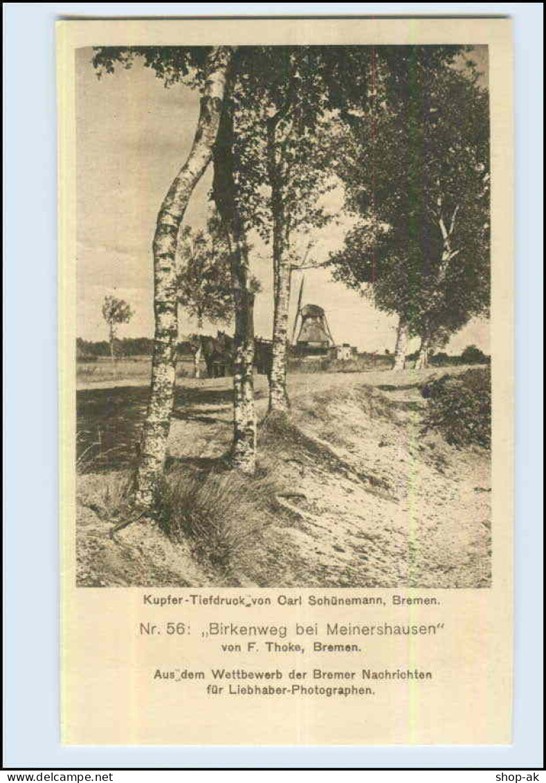 P3E47/ Birkenweg Bei Meinershausen / Bremen AK Ca.1920 - Otros & Sin Clasificación