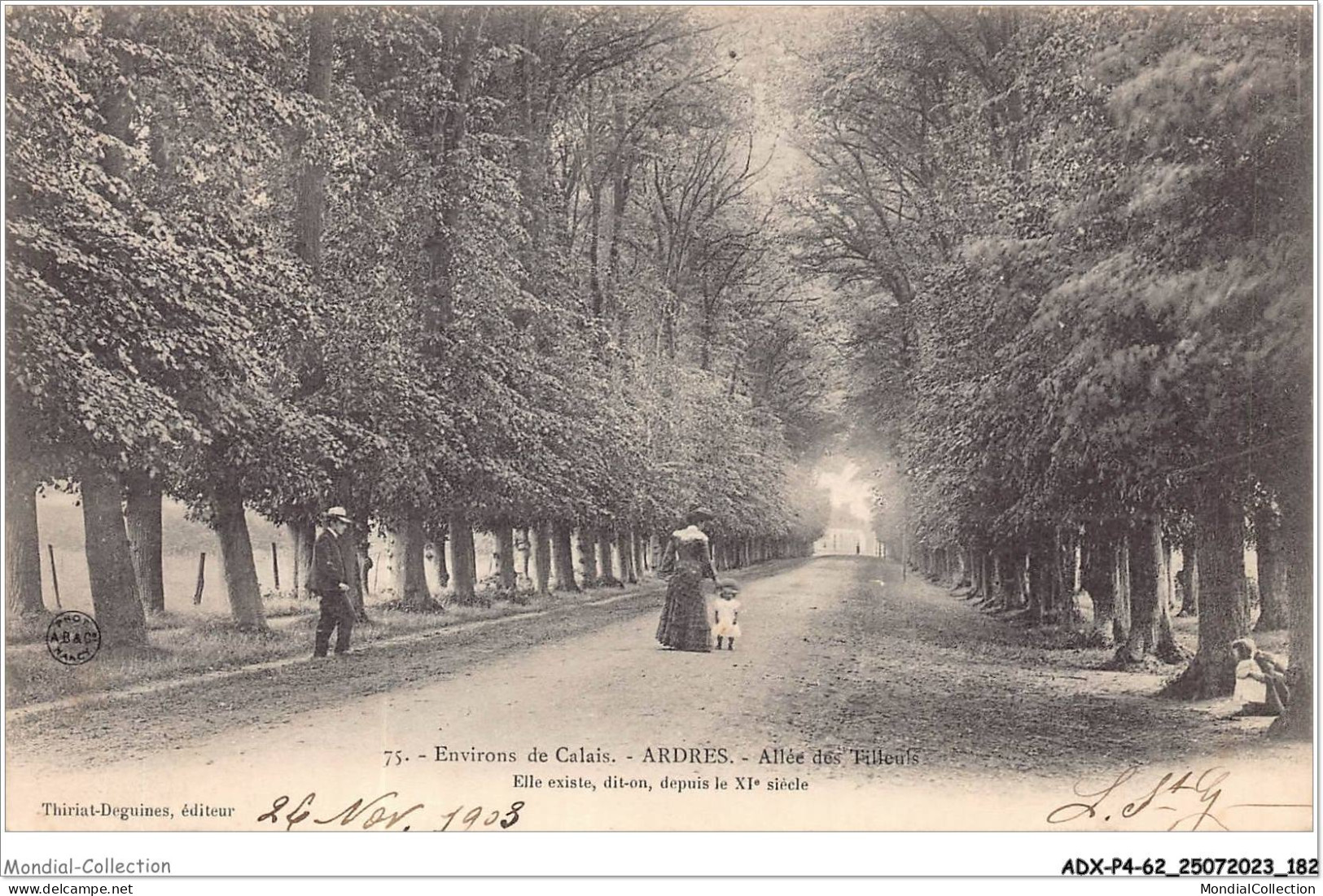 ADXP4-62-0378 - ENVIRONS DE CALAIS - ARDRES - Allée Des Tilleuls  - Ardres