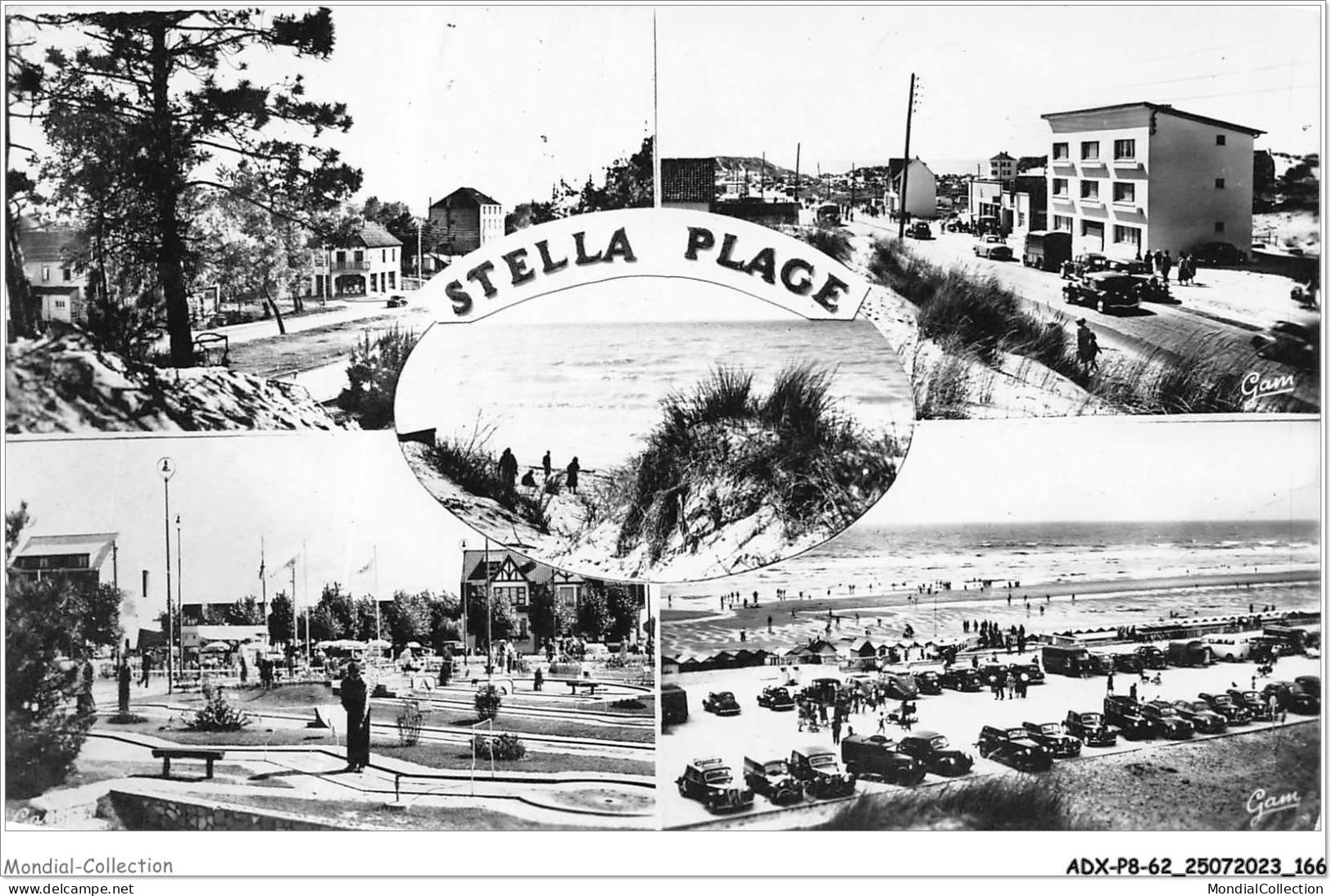 ADXP8-62-0724 - STELLA-PLAGE - Vues Diverses - Montreuil