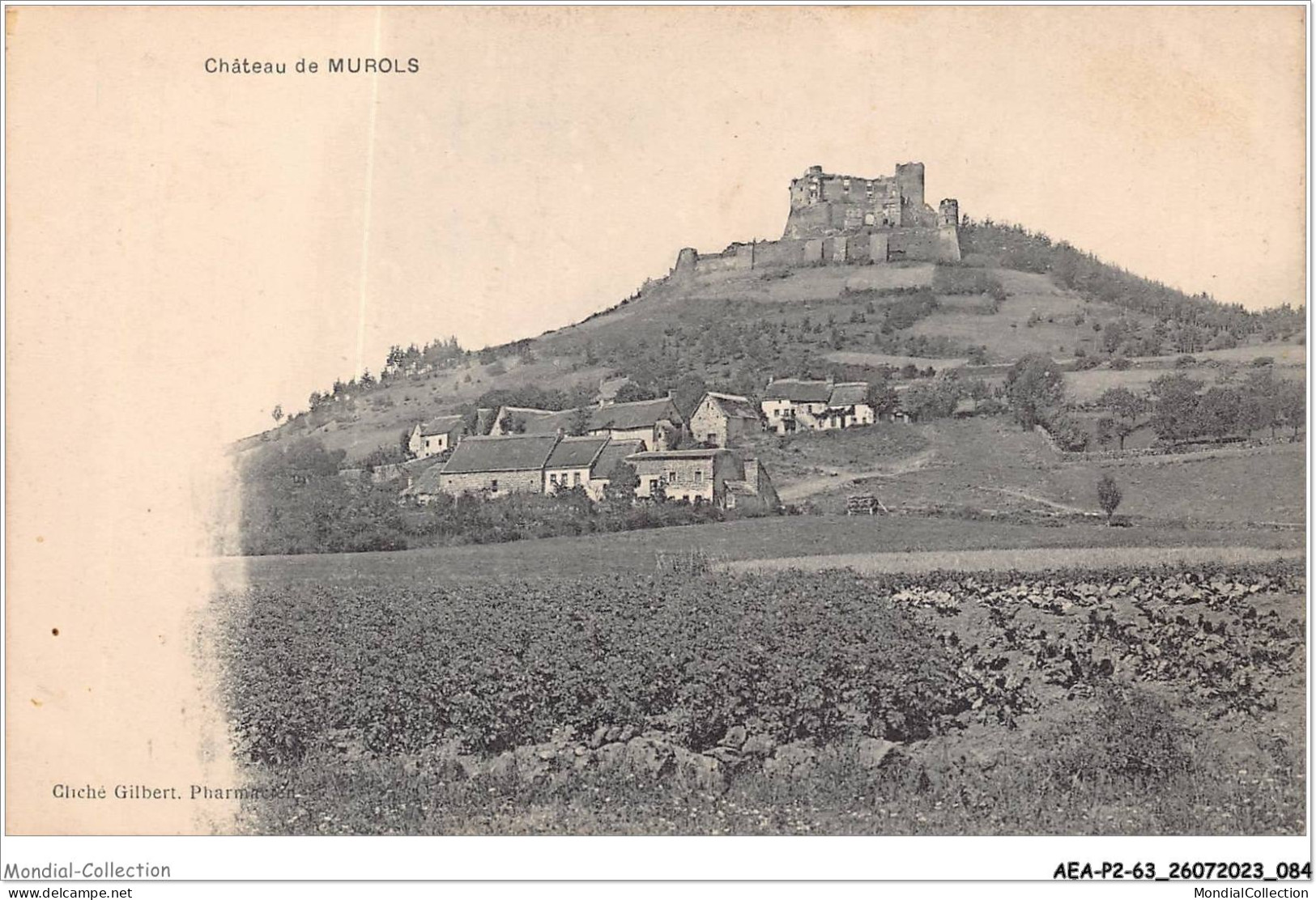 AEAP2-63-0136 - Chateau De MUROLS  - Issoire