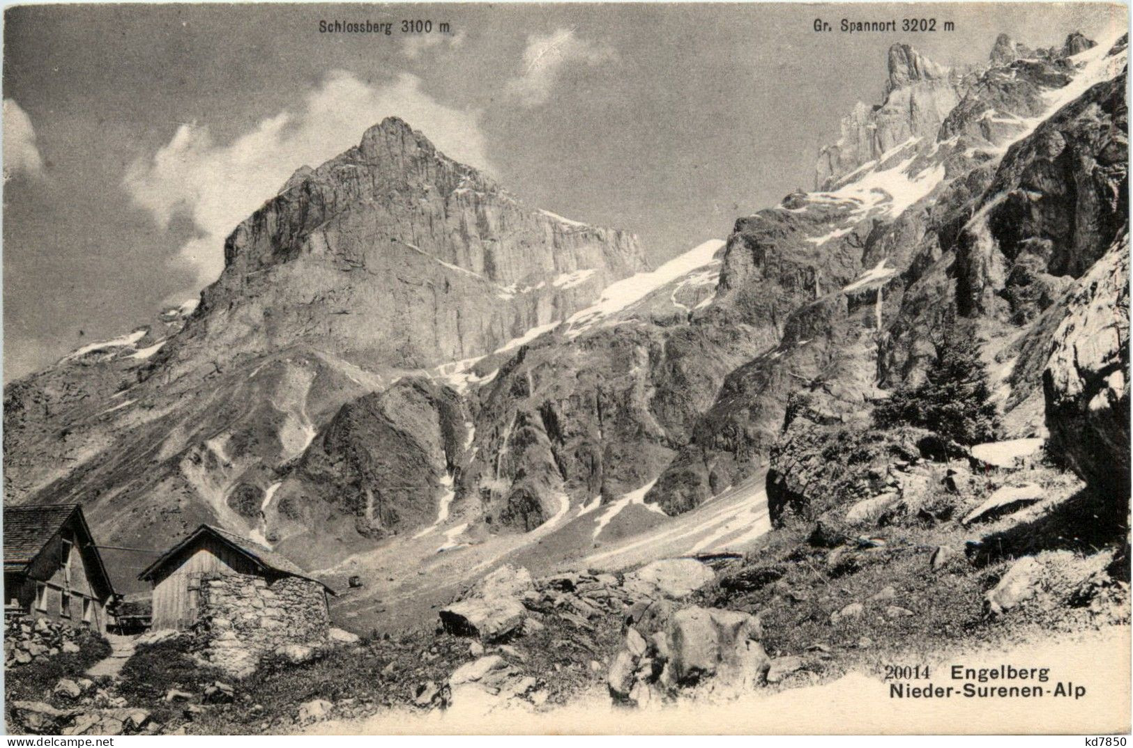 Engelberg - Nieder Surnen Alp - Engelberg