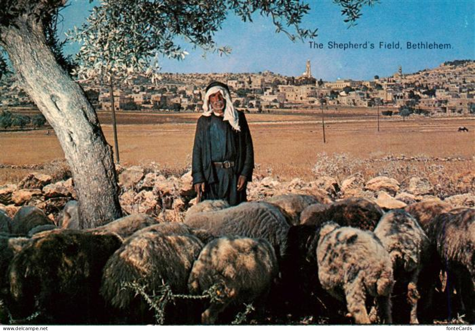 73904881 Bethlehem  Yerushalayim Israel The Shepherd’s Field - Israël