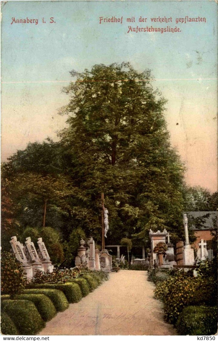 Annaberg - Friedhof - Annaberg-Buchholz