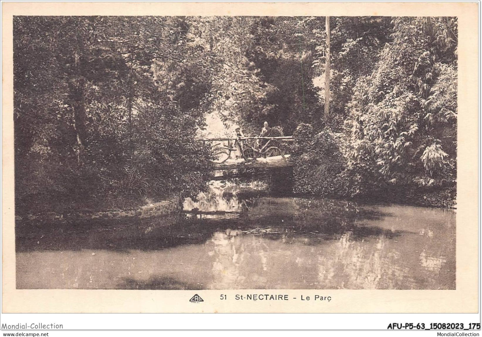 AFUP5-63-0451 - SAINT-NECTAIRE - Le Parc - Saint Nectaire