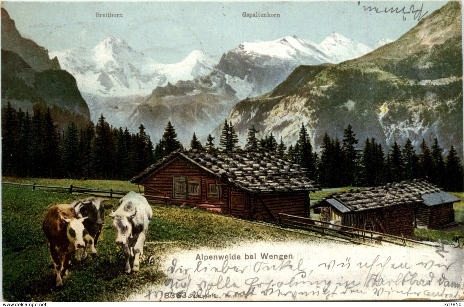 Alpeneide Bei Wengen - Wengen