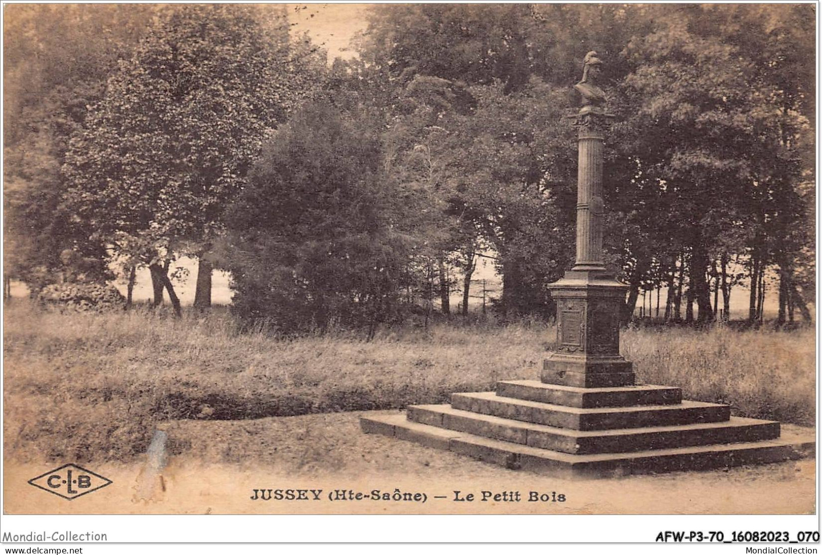 AFWP3-70-0221 - JUSSEY - Haute-saône - Le Petit Bois - Jussey