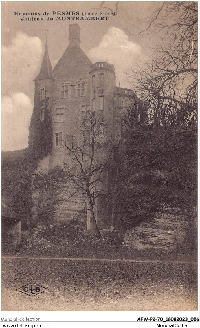 AFWP2-70-0109 - Environs De - PESMES - Haute-saône - Château De Montrambert - Pesmes