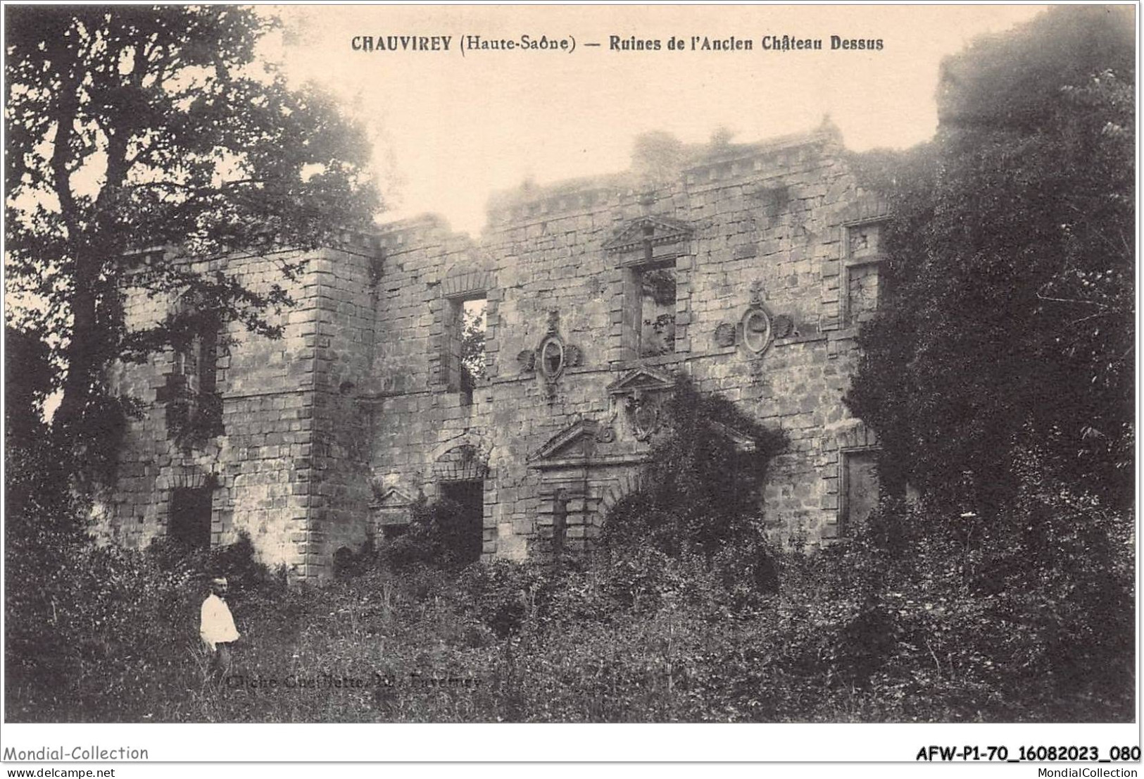 AFWP1-70-0041 - CHAUVIREY - Ruines De L'ancien Château Dessus - Vesoul