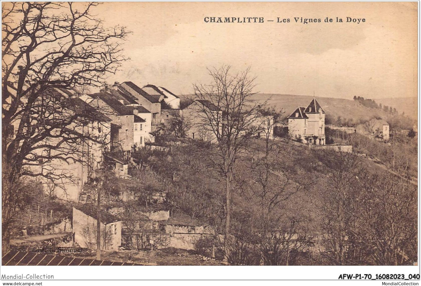 AFWP1-70-0021 - CHAMPLITTE - Les Vignes De La Doye - Champlitte