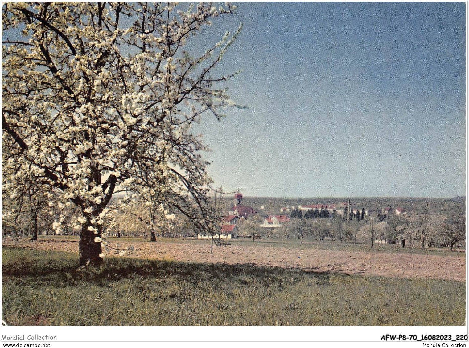 AFWP8-70-0879 - FOUGEROLLES - Haute-saône - Vue Au Printemps - Lure