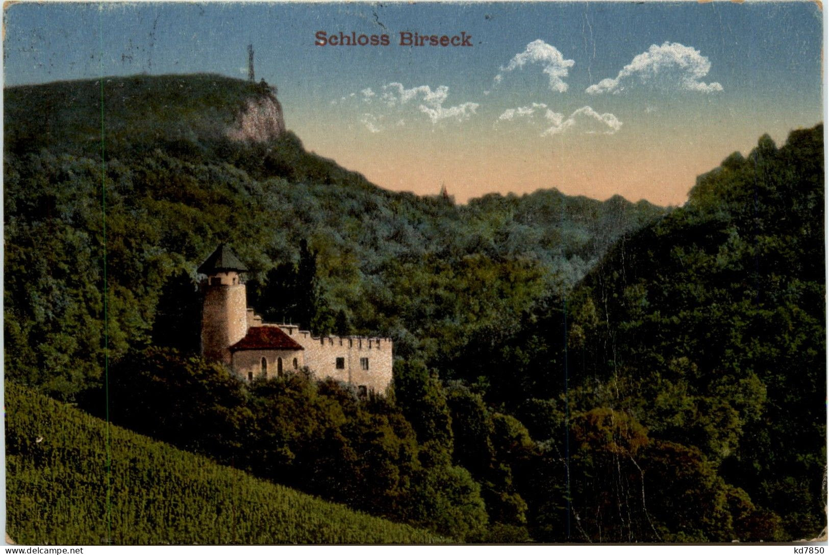Arlesheim - Schloss Birseck - Arlesheim