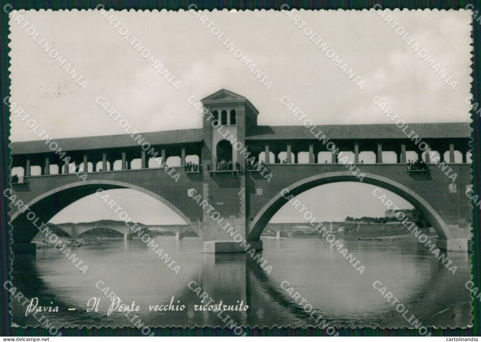 Pavia Città PIEGHINA FG Foto Cartolina KVM1336 - Pavia