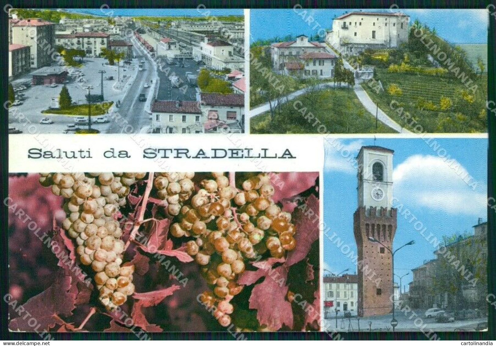 Pavia Stradella Saluti Da FG Foto Cartolina KVM1355 - Pavia