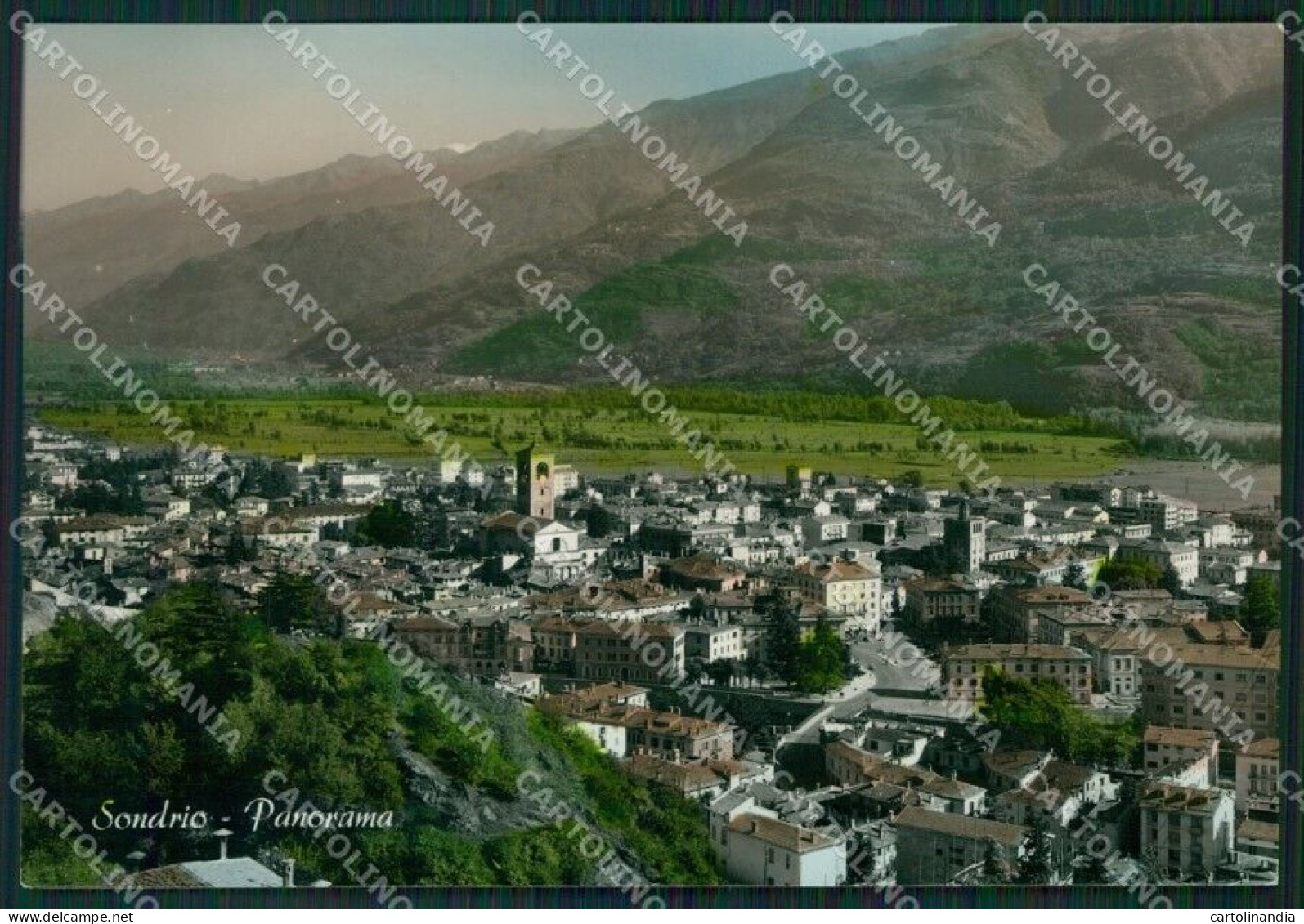 Sondrio Città FG Foto Cartolina KVM1381 - Sondrio